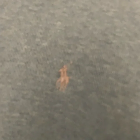 Ralph Lauren Quarter Zip Sage Green - Picture 4 of 6